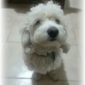 Meet your Posher, Paola